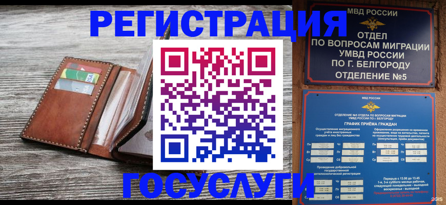 временная регистрация гарантия в Волосово